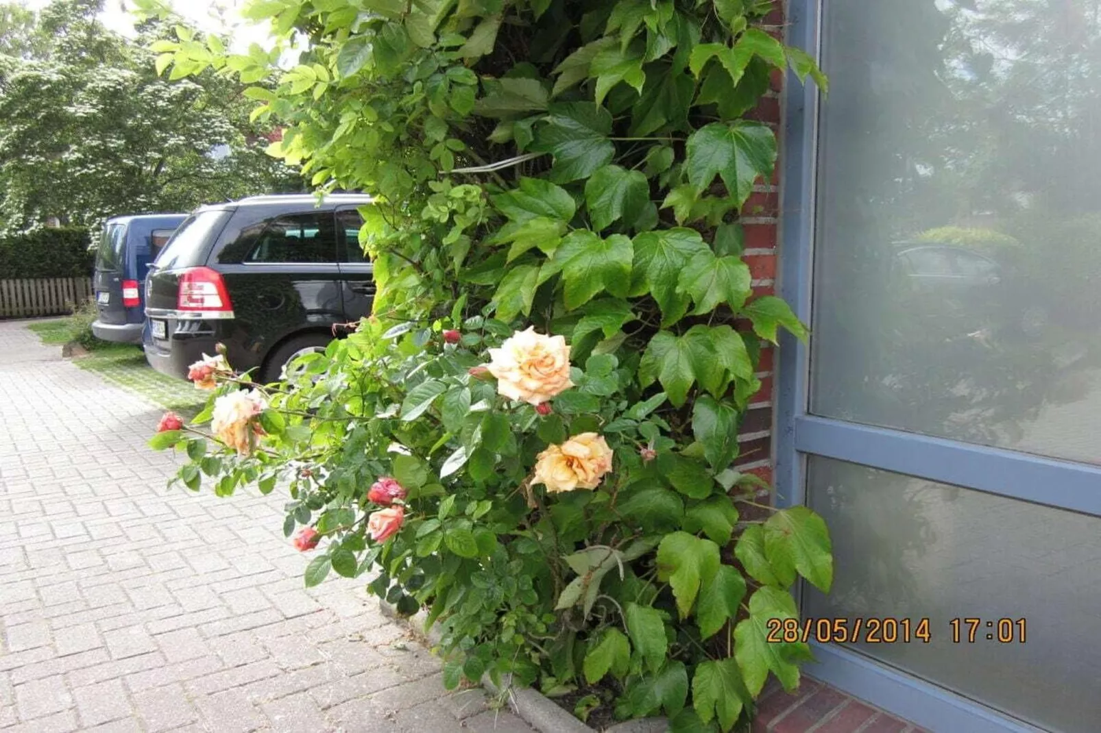 90280 - Tuinen zomer