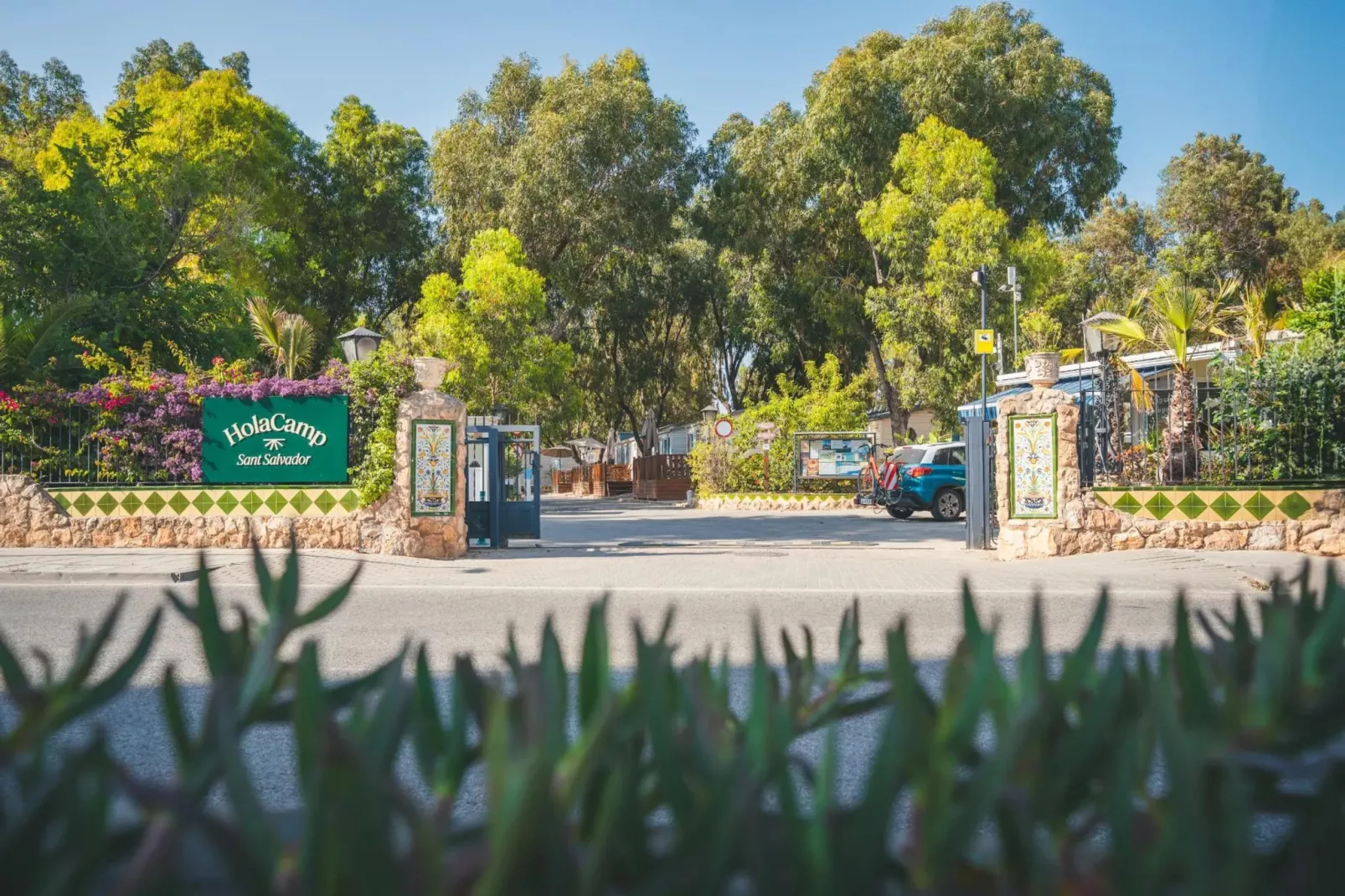 HOLA CAMP SANT SALVADOR-Superior 4-Gebieden zomer 1km