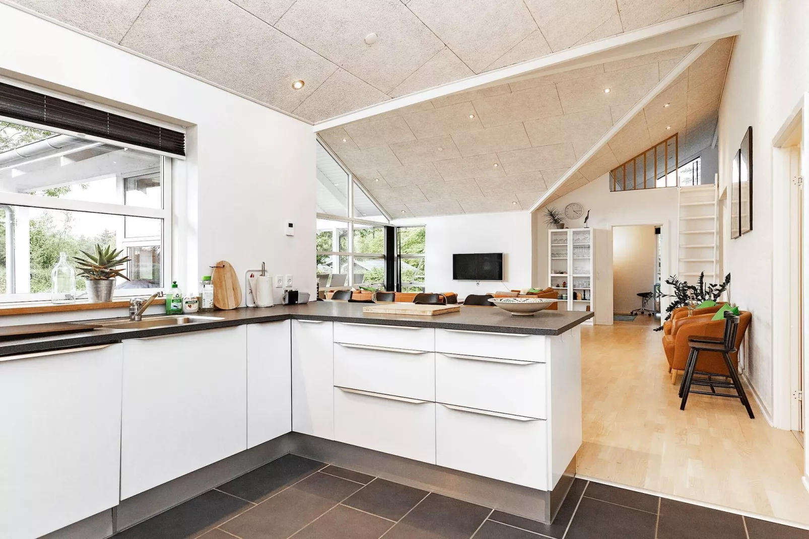 5 sterren vakantie huis in Hals-Binnen