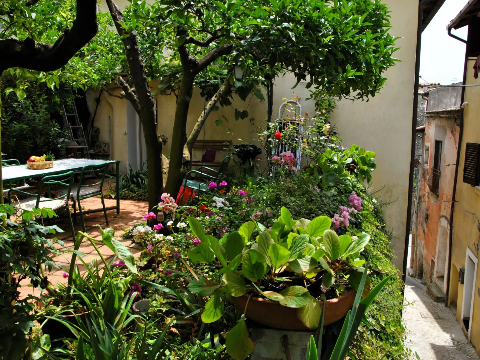 Giardino dei Limoni - Buiten