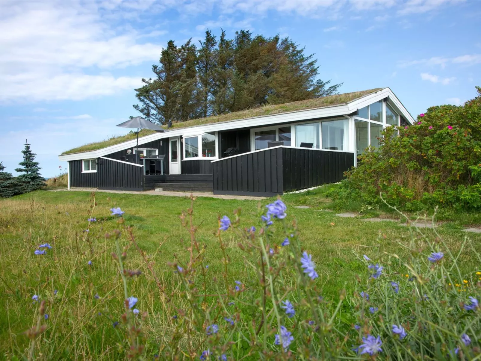 "Eeske" - 1km from the sea - Buiten