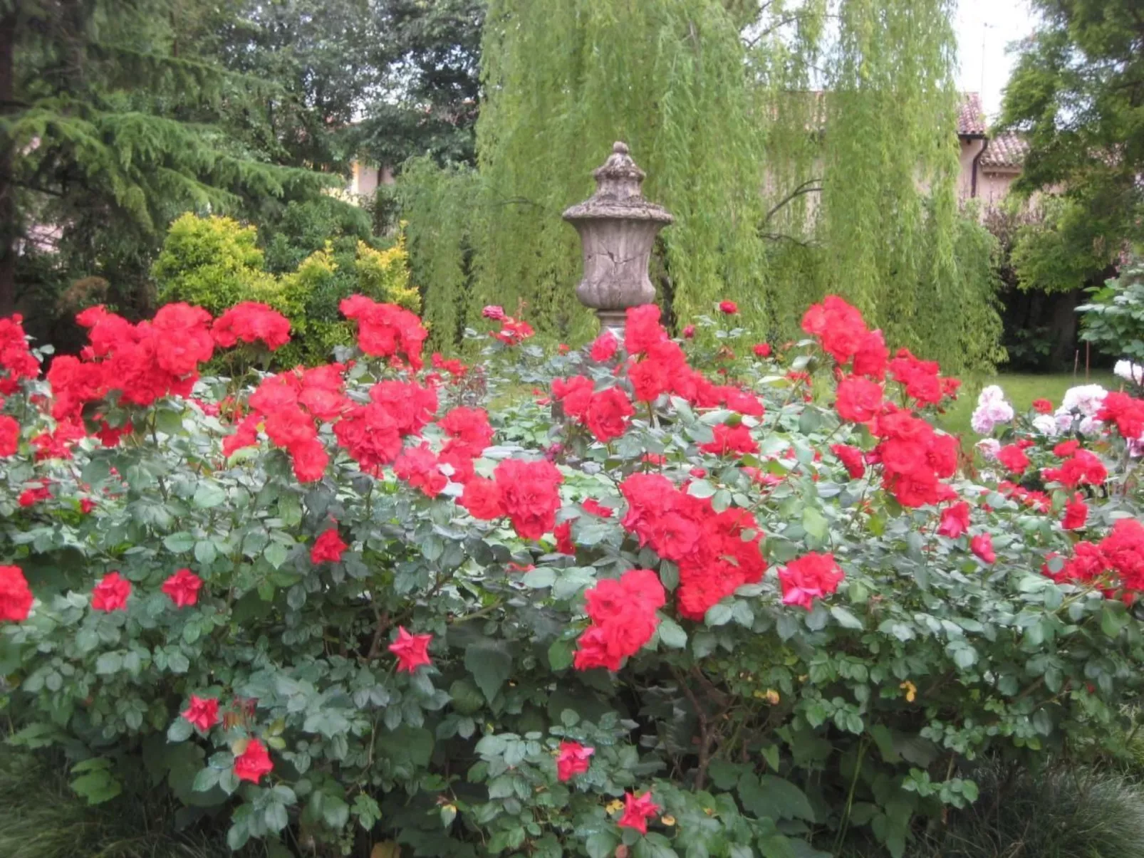 Bellissimo Villa Adelaide - Image-tags.info