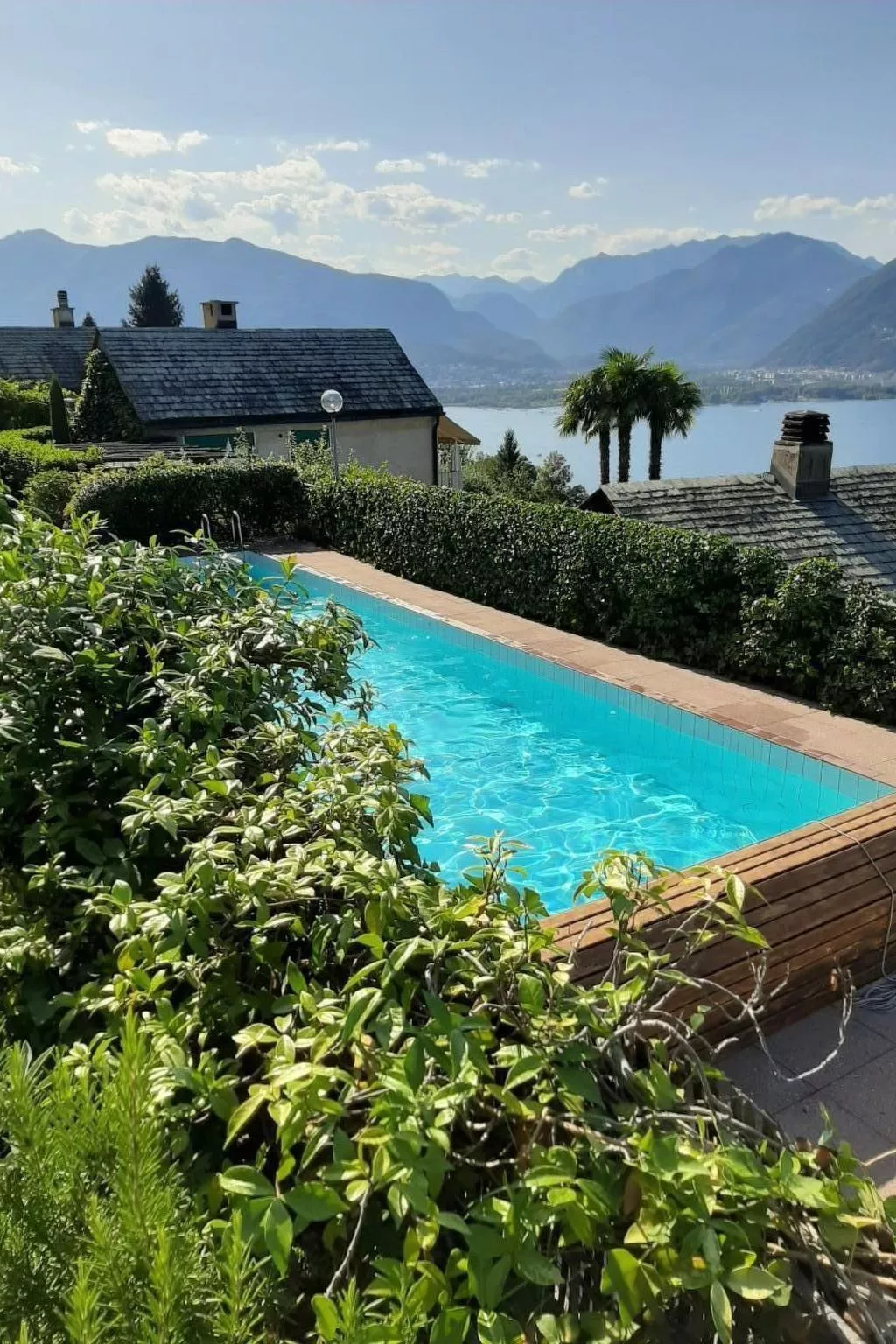 Virabella 8 - Image-tags.info