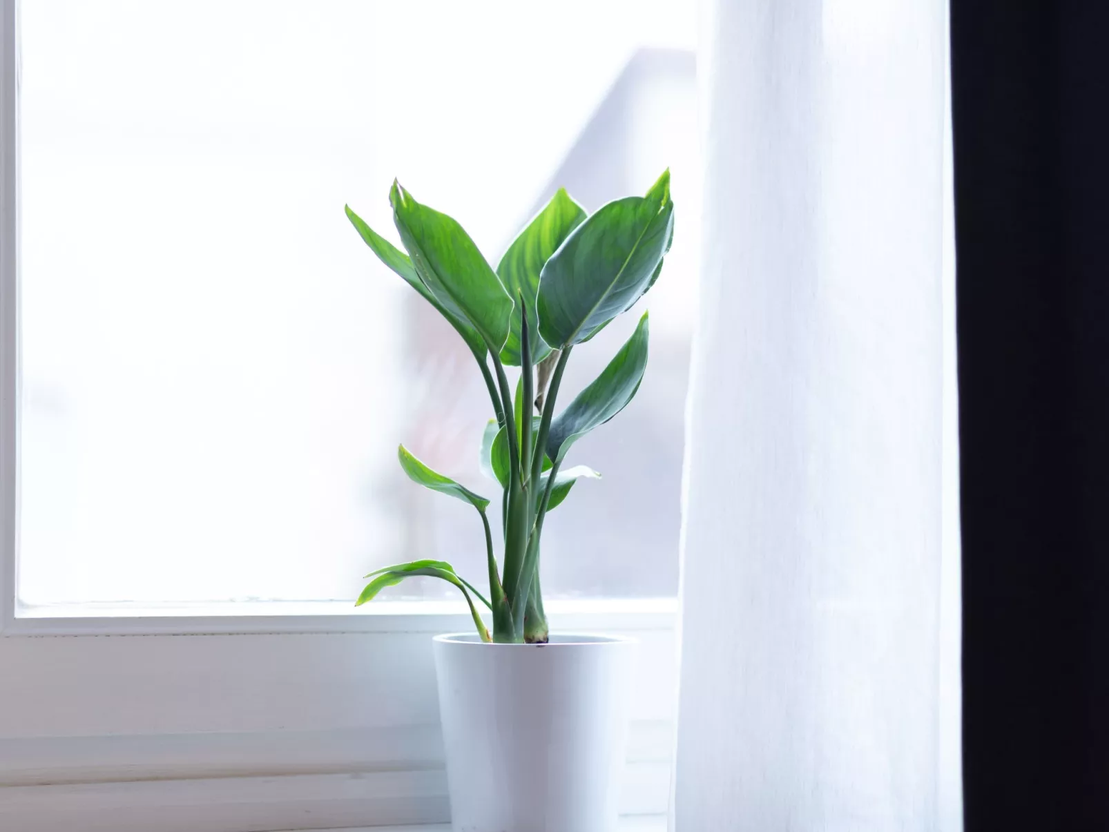 Apartment 54 - Binnen