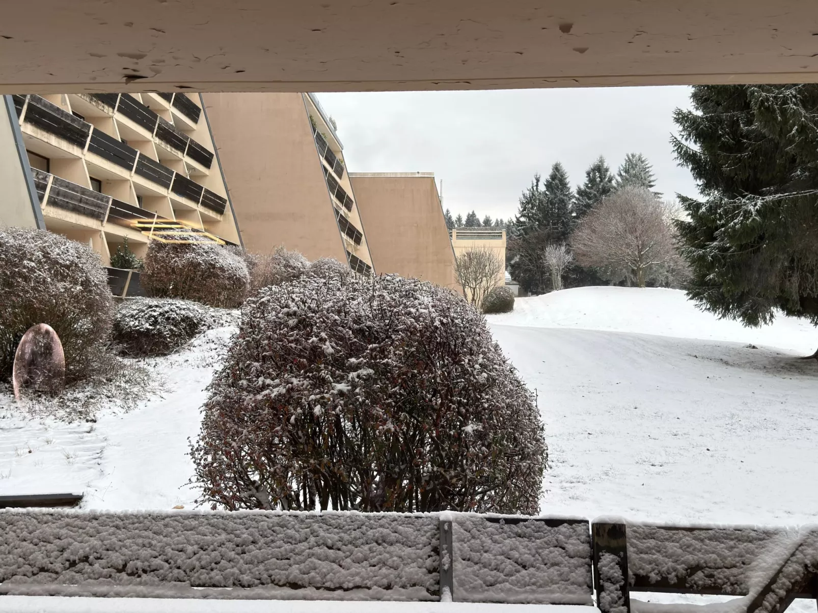 Apartment Luna - Image-tags.info