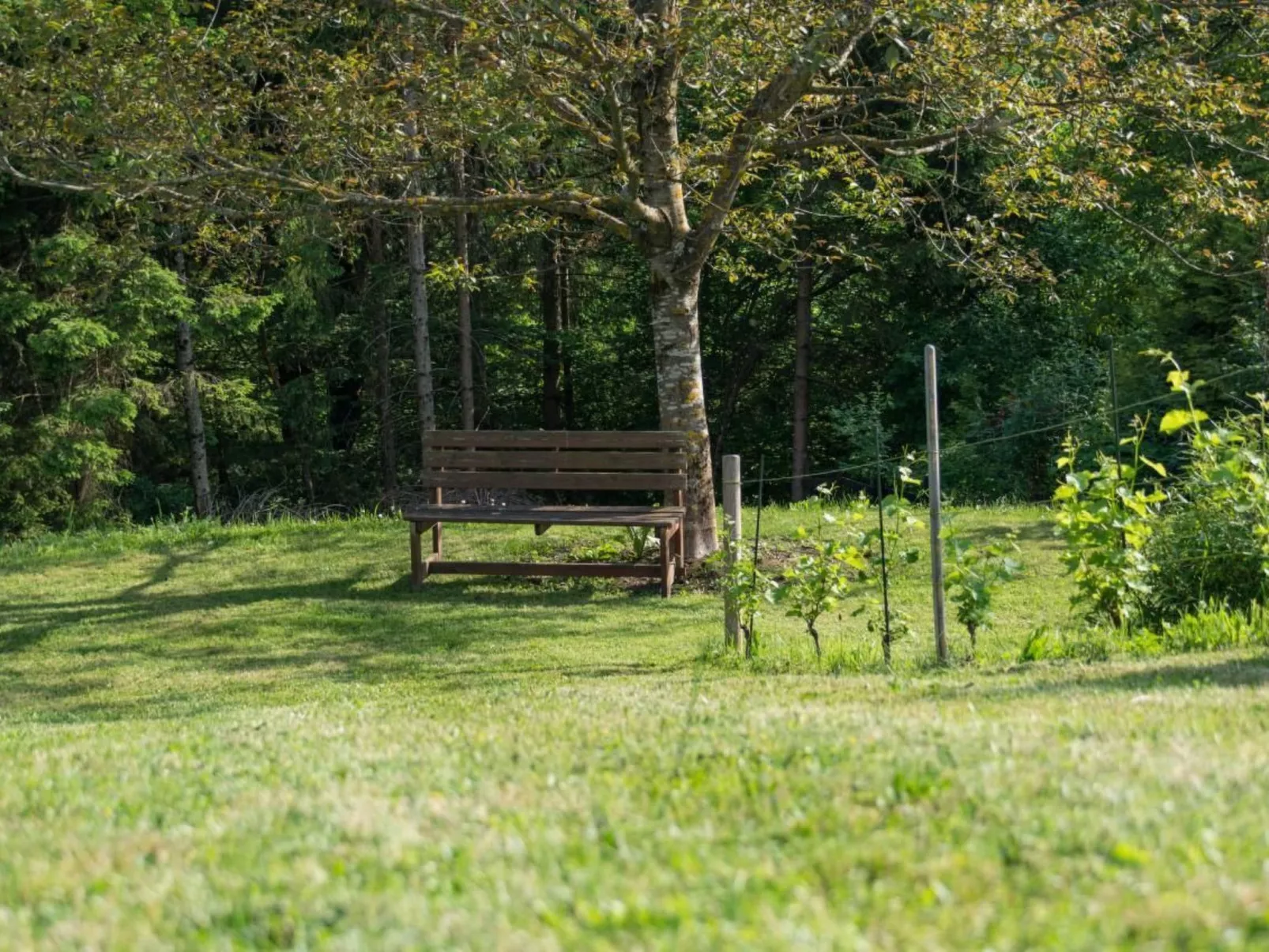 Gartenlodge - Image-tags.info