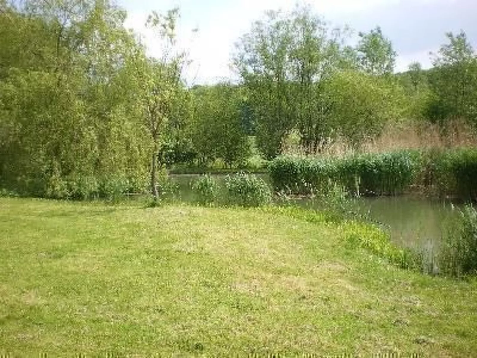 Mit naturnahen Badeteich - Image-tags.info