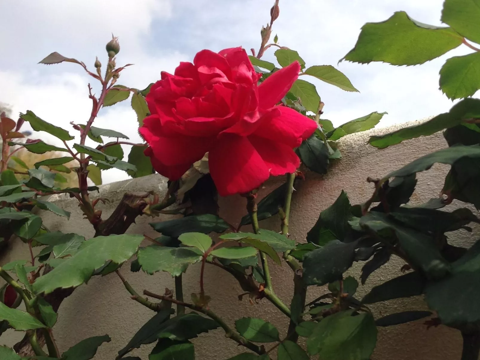 Appartement in Donnalucata mit Großem Garten - Image-tags.info