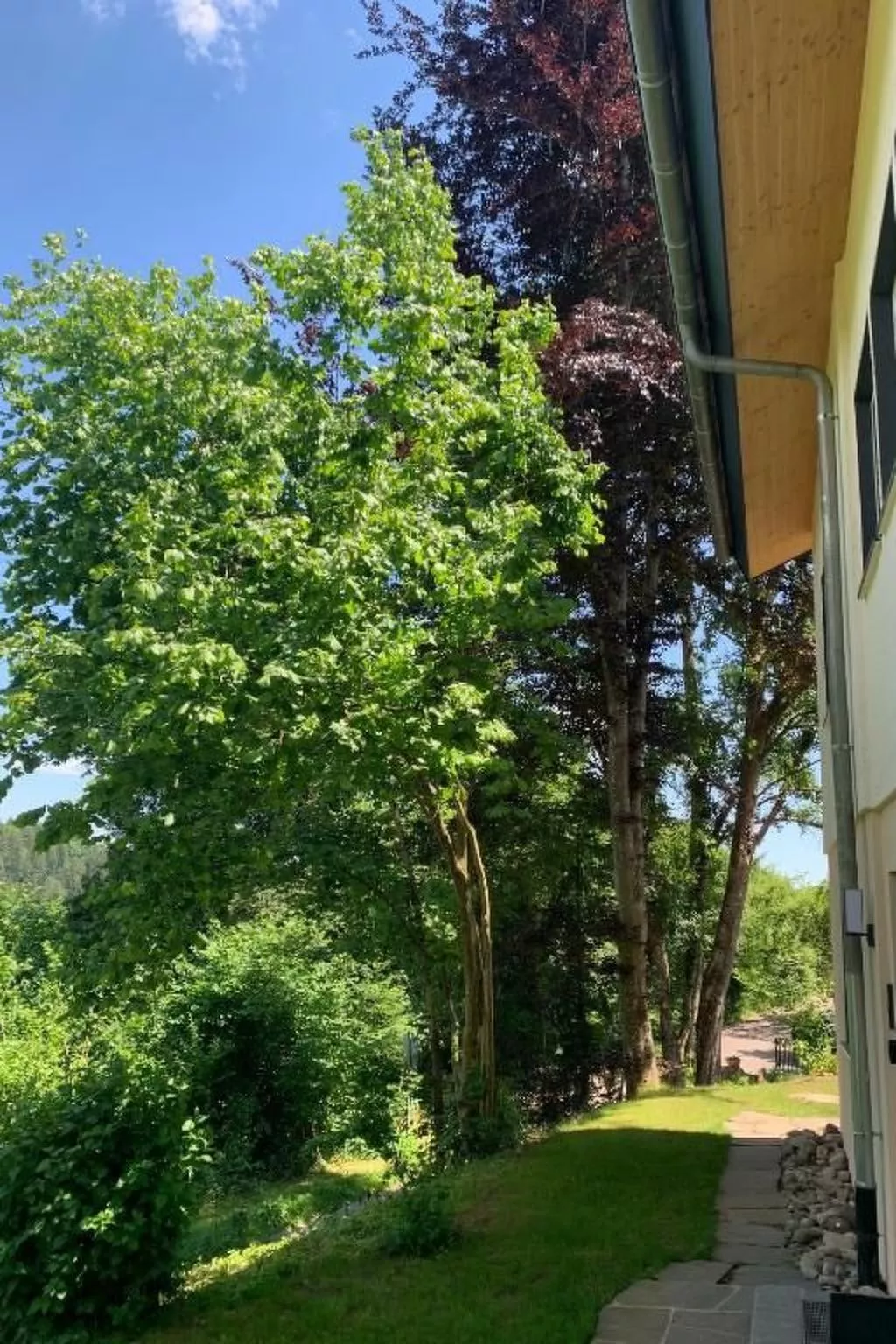 Fewo Am Sommerberg - Image-tags.info