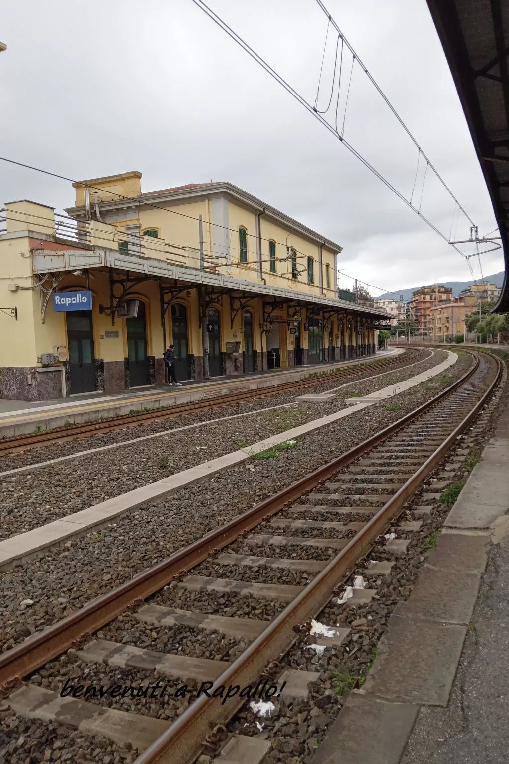 Seestern - Image-tags.info