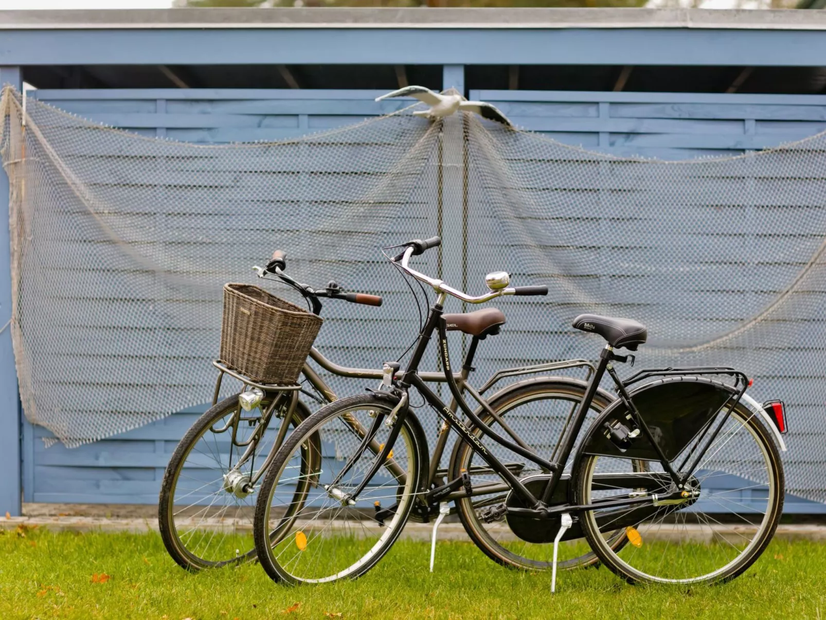 Dünenblick in Breege - Image-tags.info