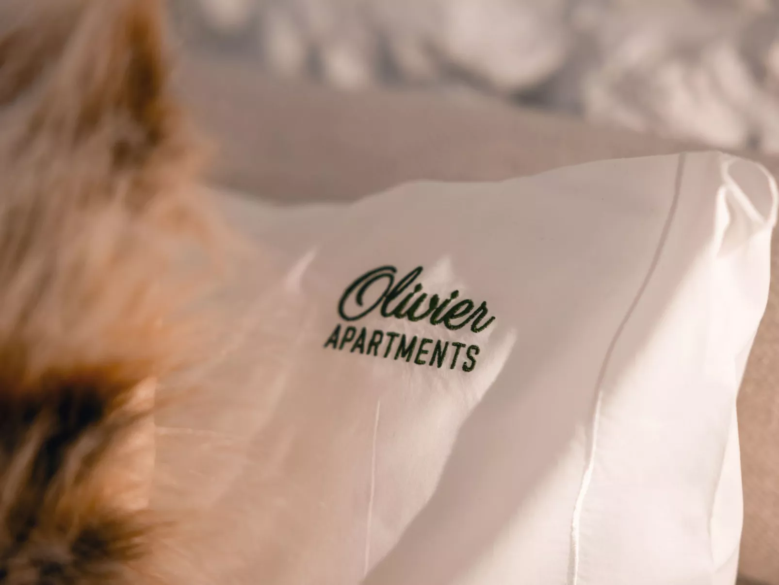 Die Downtown-Terrasse Fabelhafte Aussichten Romantisches Penthouse - Image-tags.info