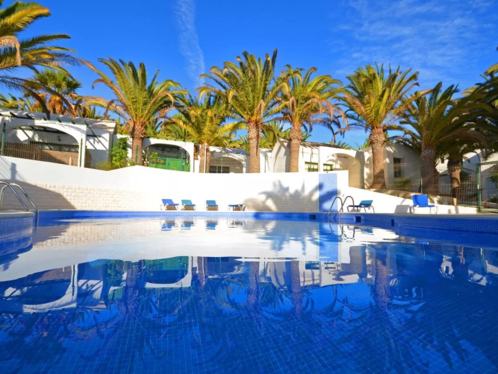 Palm Garden - Image-tags.info