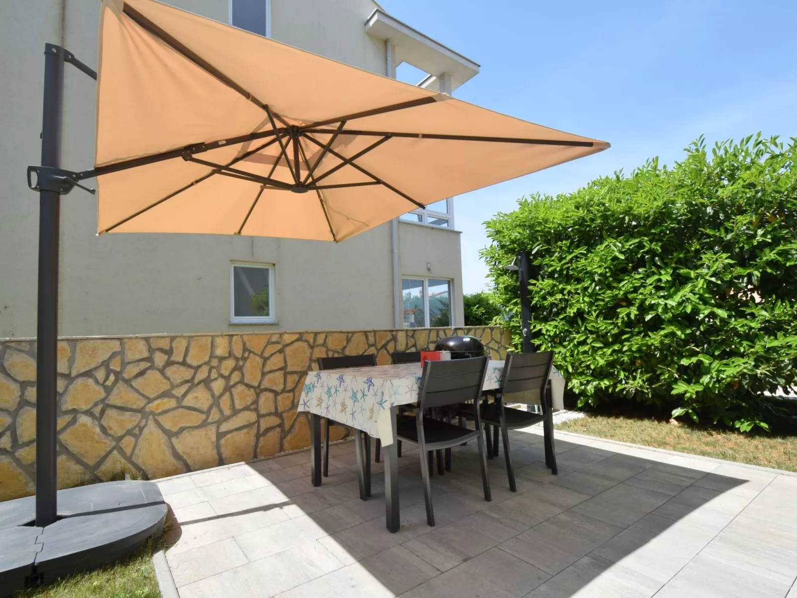 Rosemary - Image-tags.info