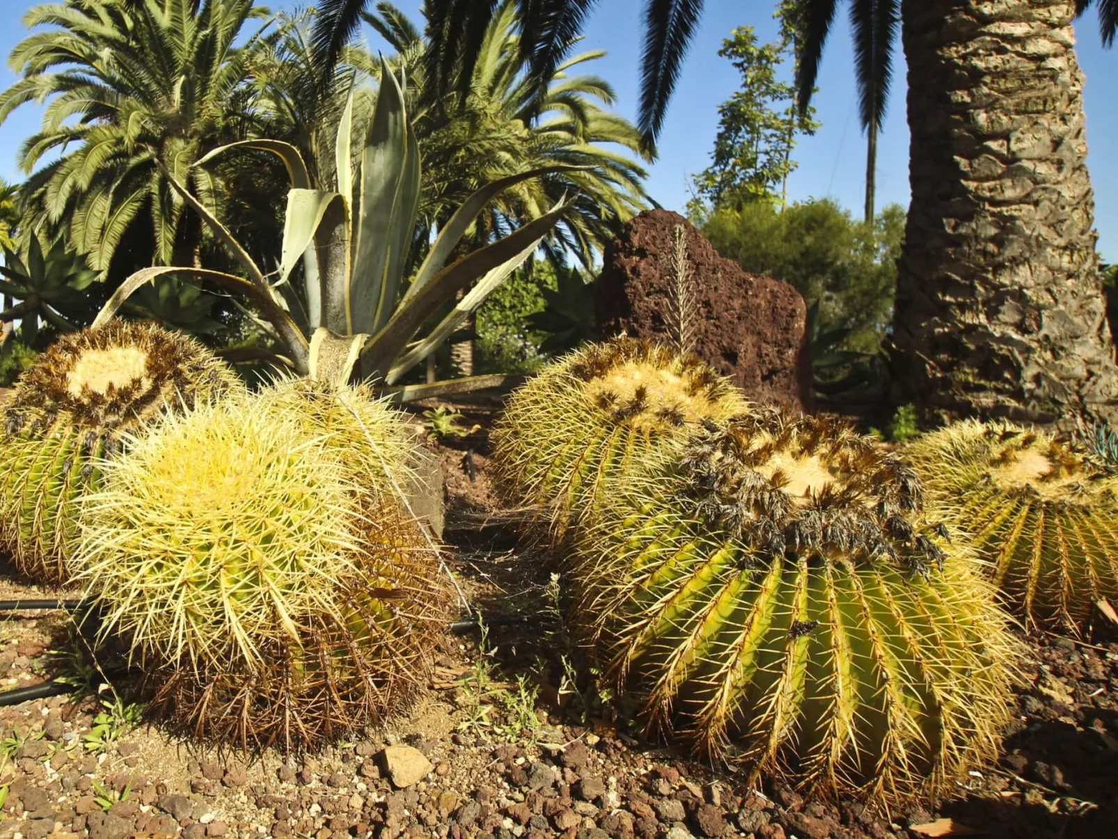 Finca Tocama - Buiten