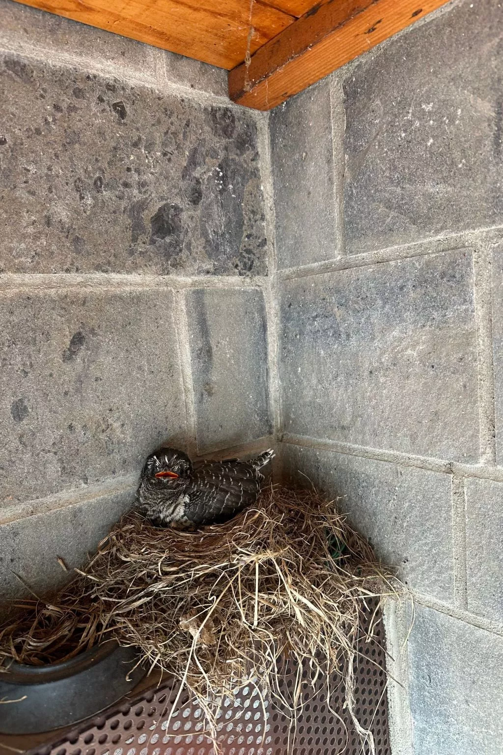 Das Quiet Corner Apartment - Comer See - Image-tags.info