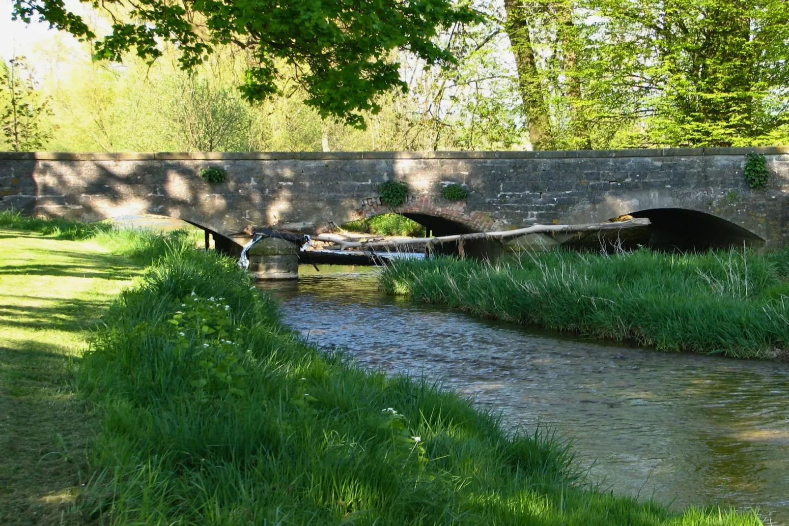 Ferienhaus in Steinheim-Gebieden zomer 5km