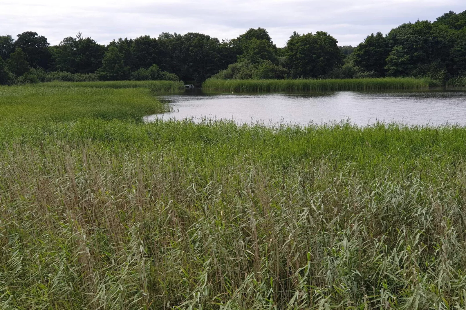 8 persoons vakantie huis in Ebeltoft-Waterzicht