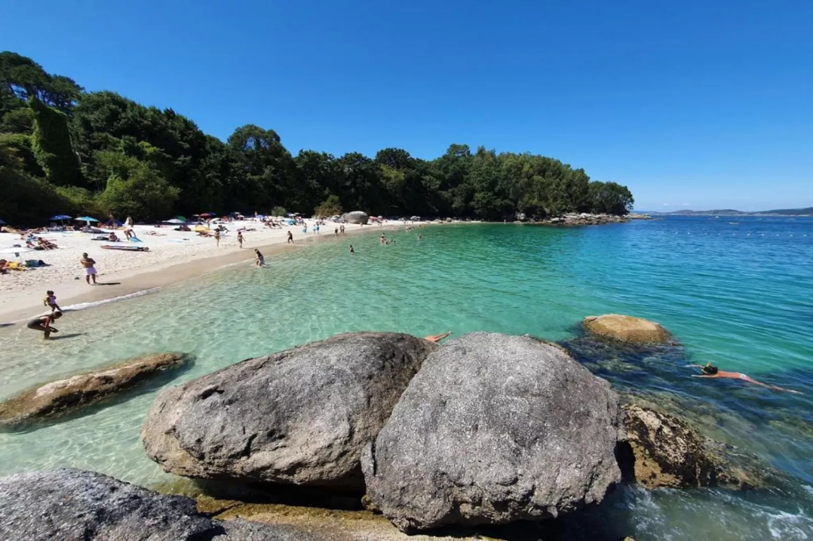 Dupplex I - Gebieden zomer 1km