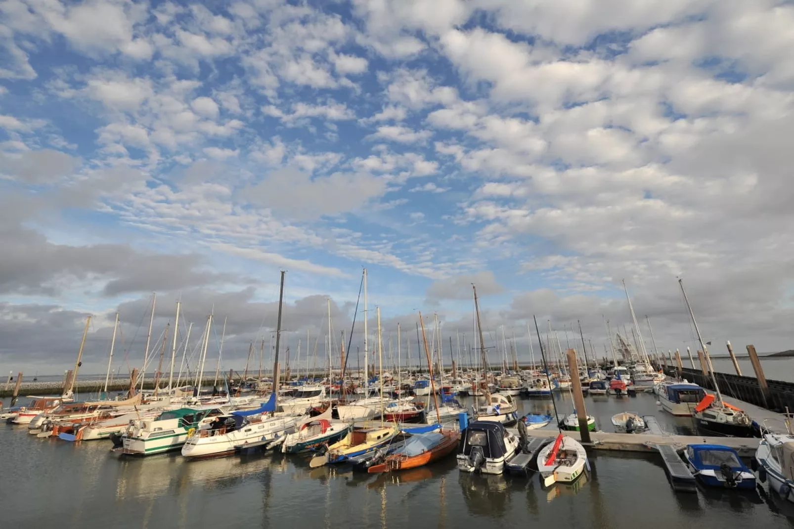 180870-Gebieden zomer 5km