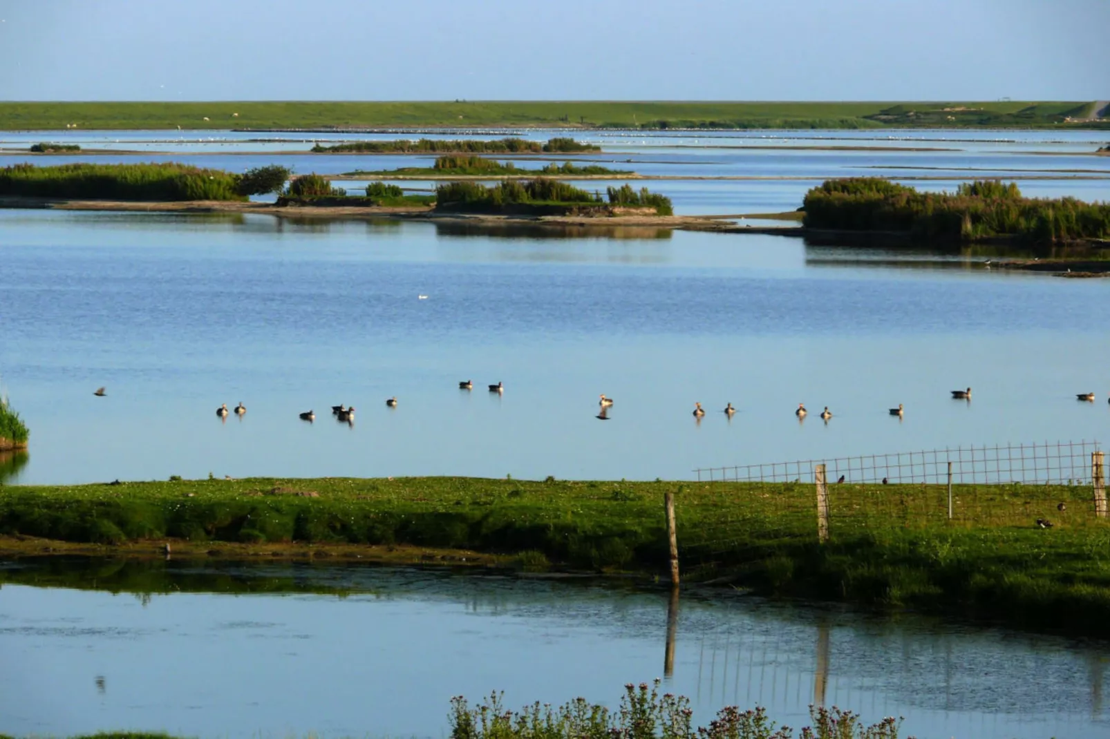 46450 - Buitenkant zomer