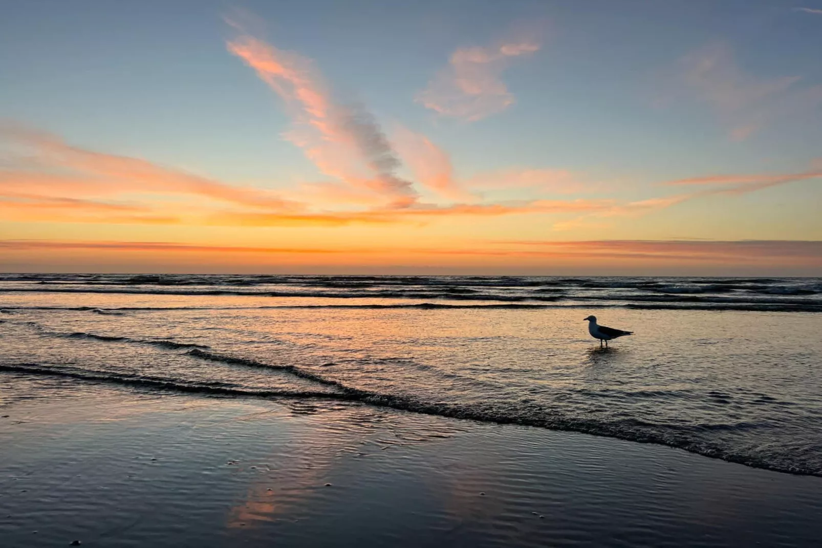 166902-Gebieden zomer 5km