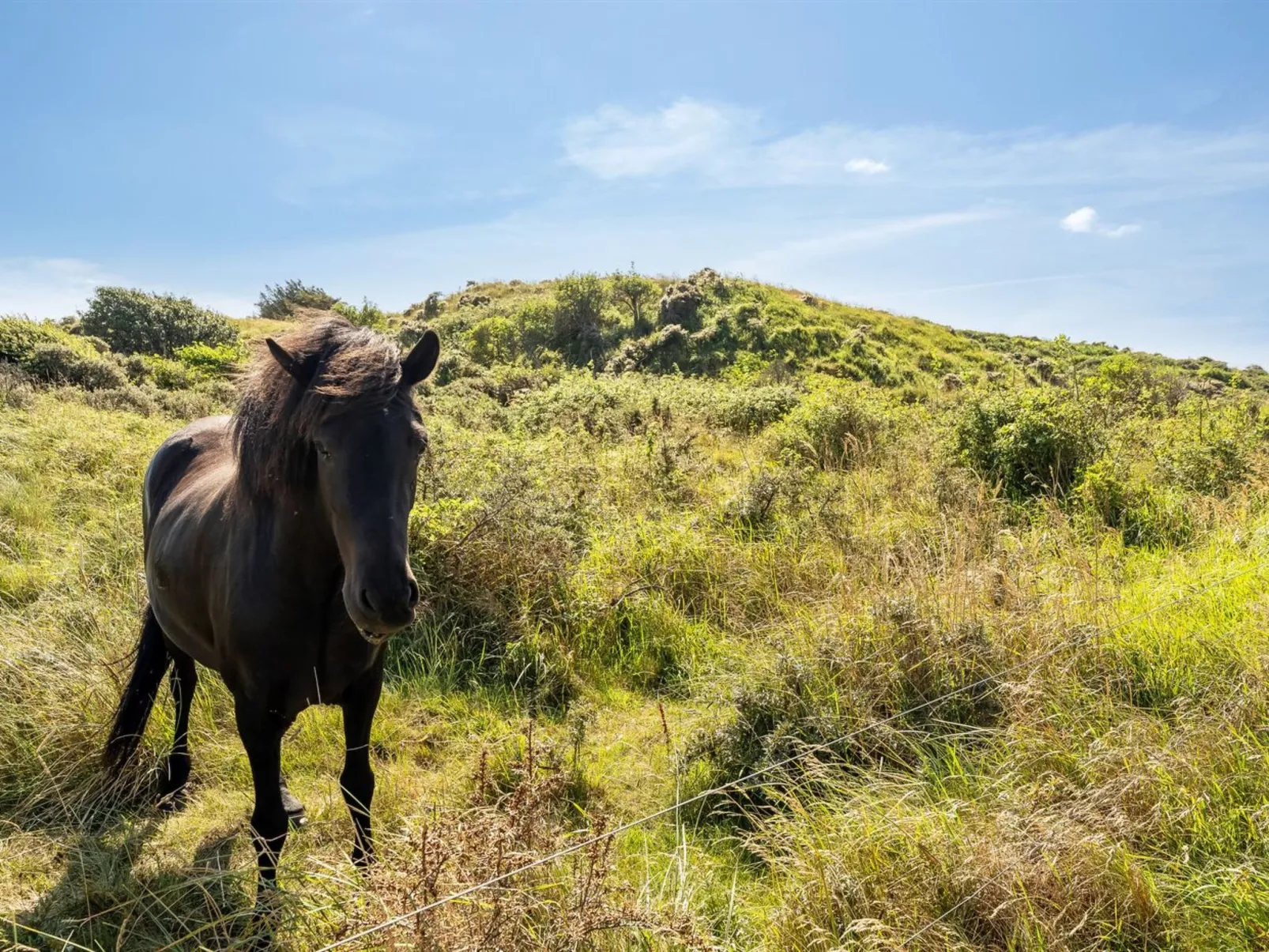 "Senija" - 334m from the sea - Buiten