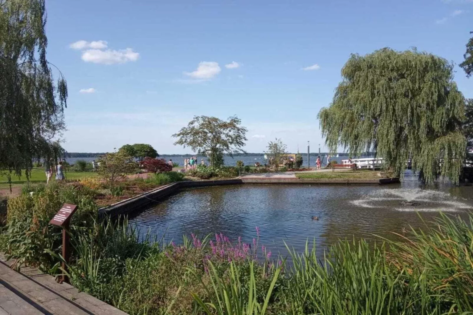 269842 - Image-tags.water view