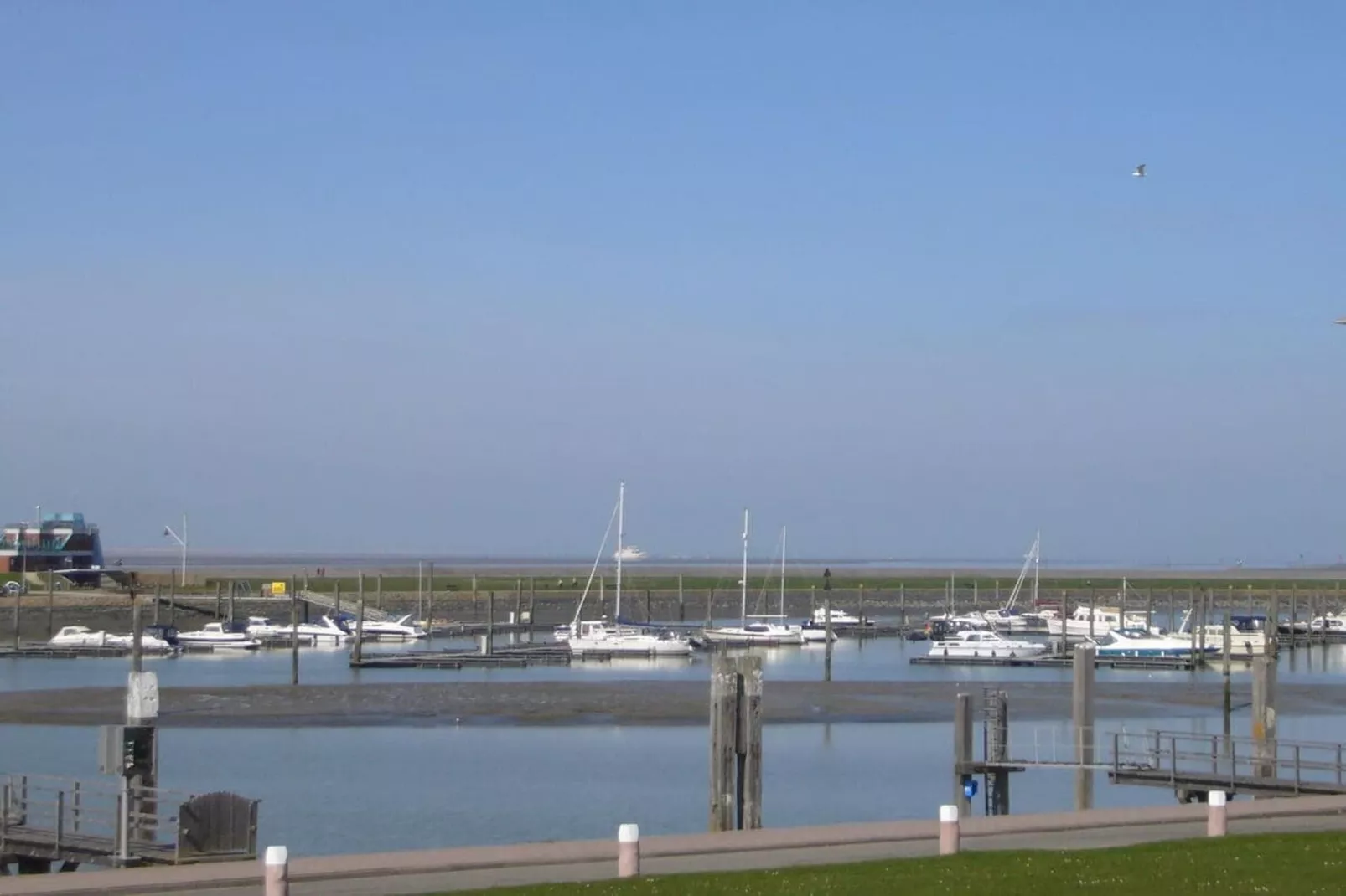 50151-Gebieden zomer 5km