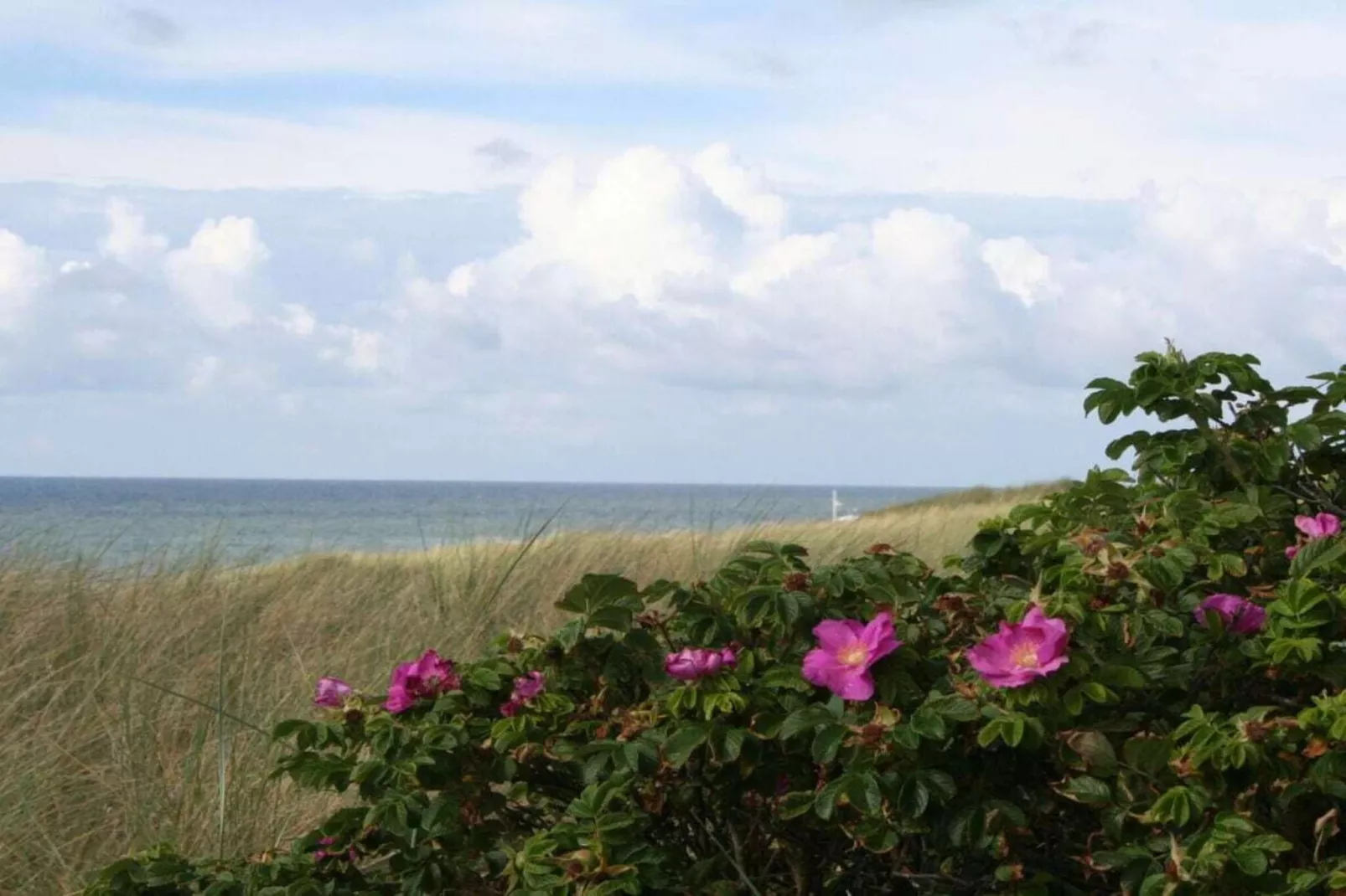 284435-Gebieden zomer 5km