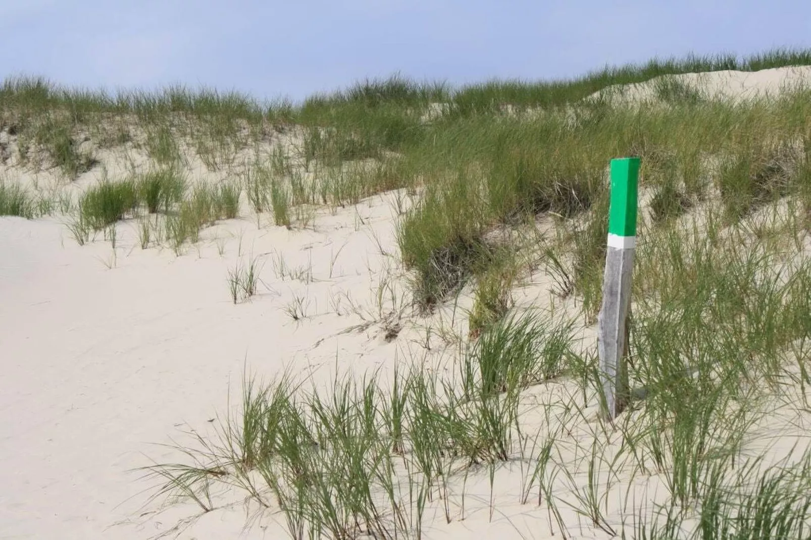 49410 - Gebieden zomer 1km