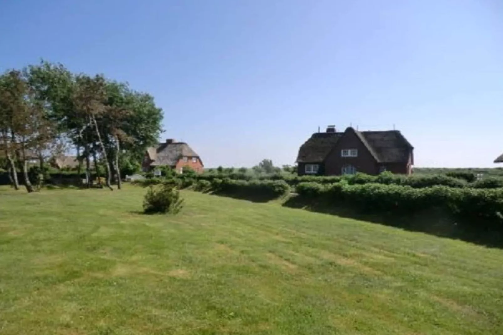 130451 - Tuinen zomer