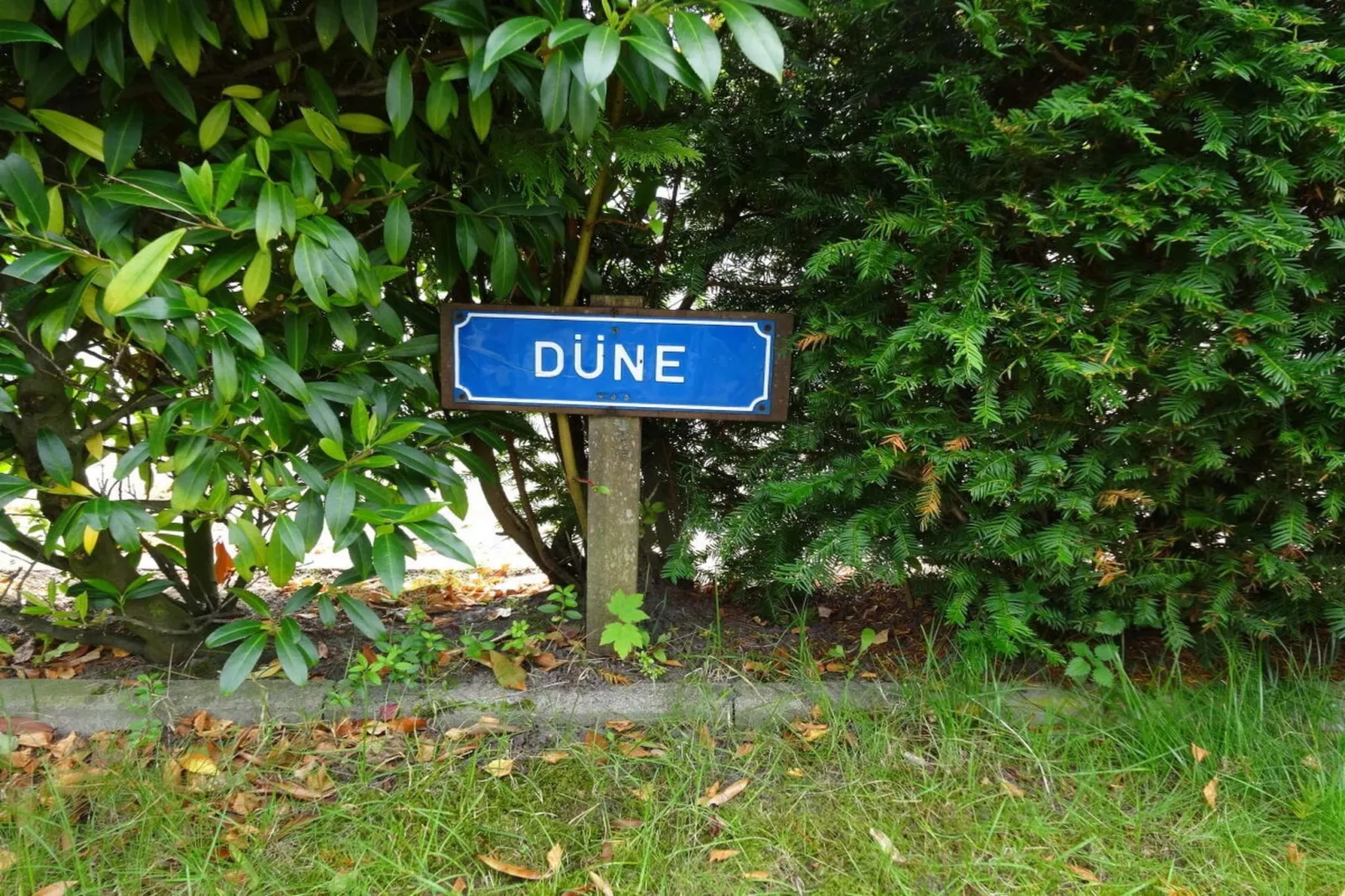 90280 - Tuinen zomer