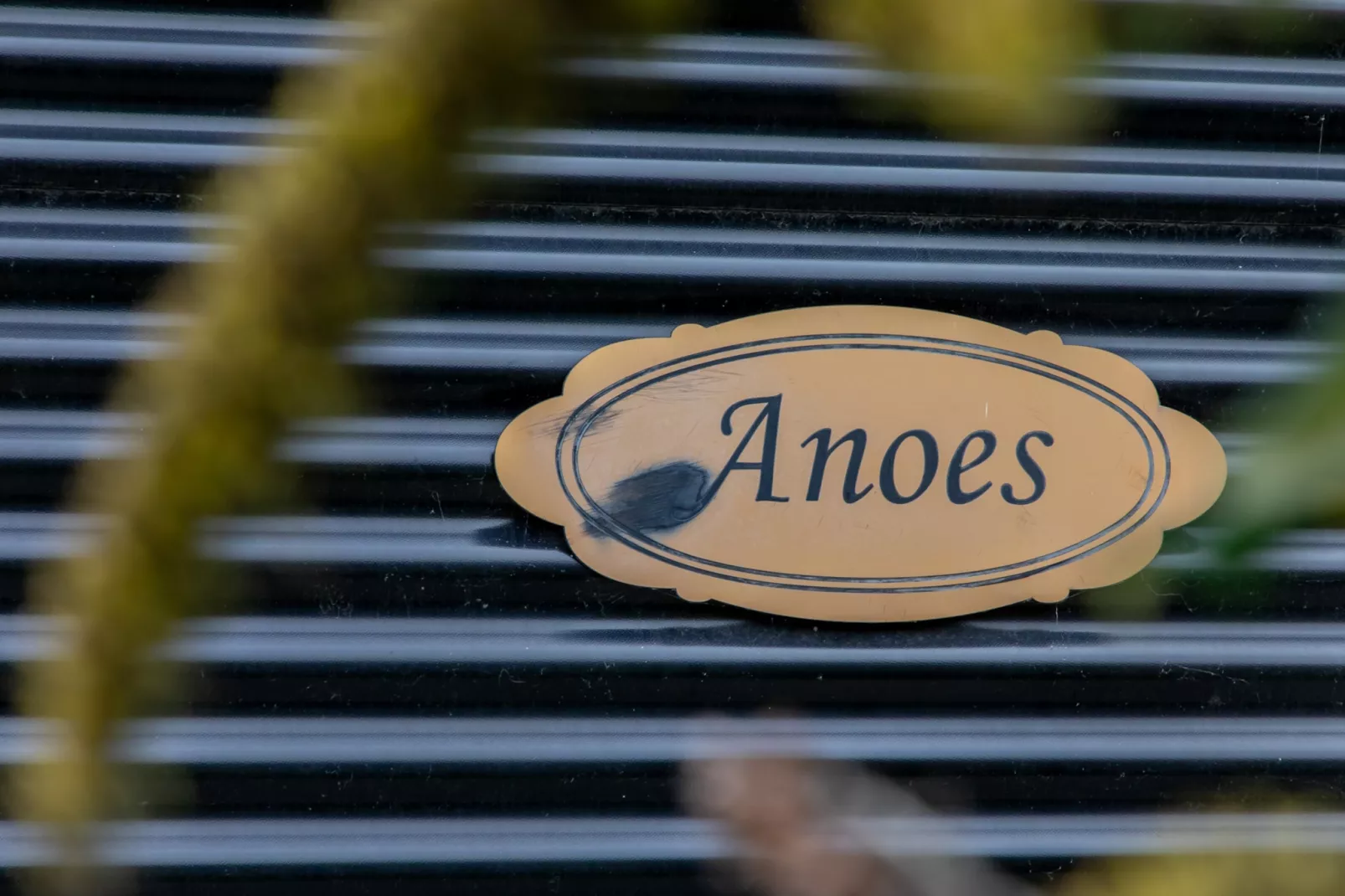 Zonnedorp 22  Holiday Home Anoes Renesse | Beach-nearby Comfort in Zeeland-Niet-getagd