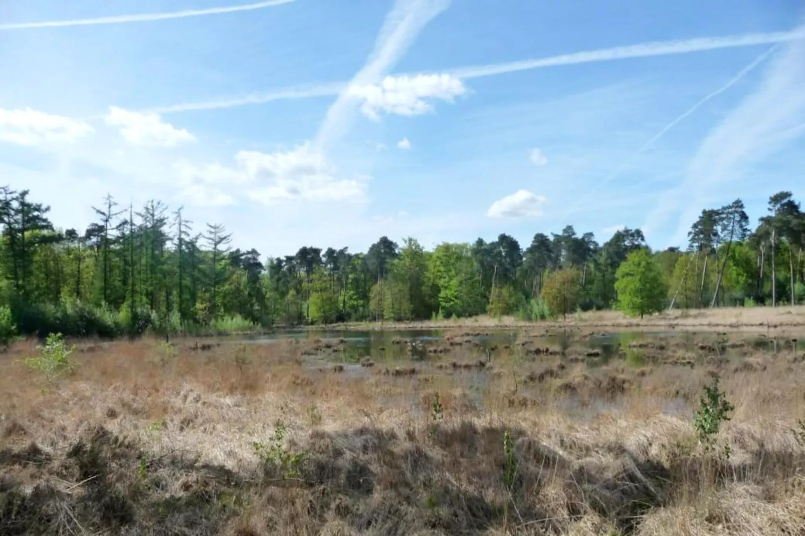 Cordelia Lodges-Gebieden zomer 5km