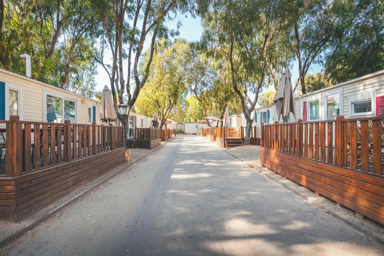 HOLA CAMP SANT SALVADOR-Superior 6-Gebieden zomer 1km