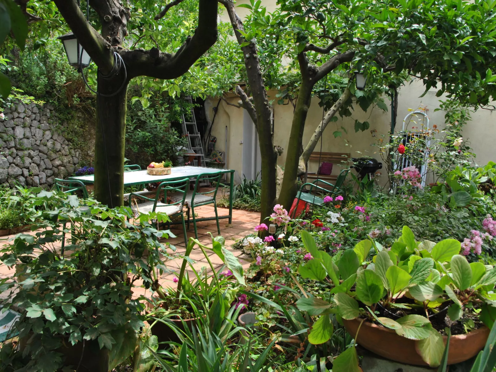 Giardino dei Limoni - Buiten