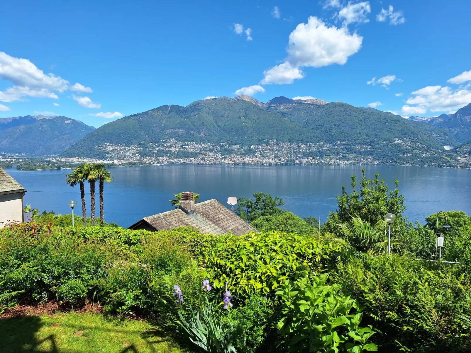 Virabella 8 - Image-tags.info