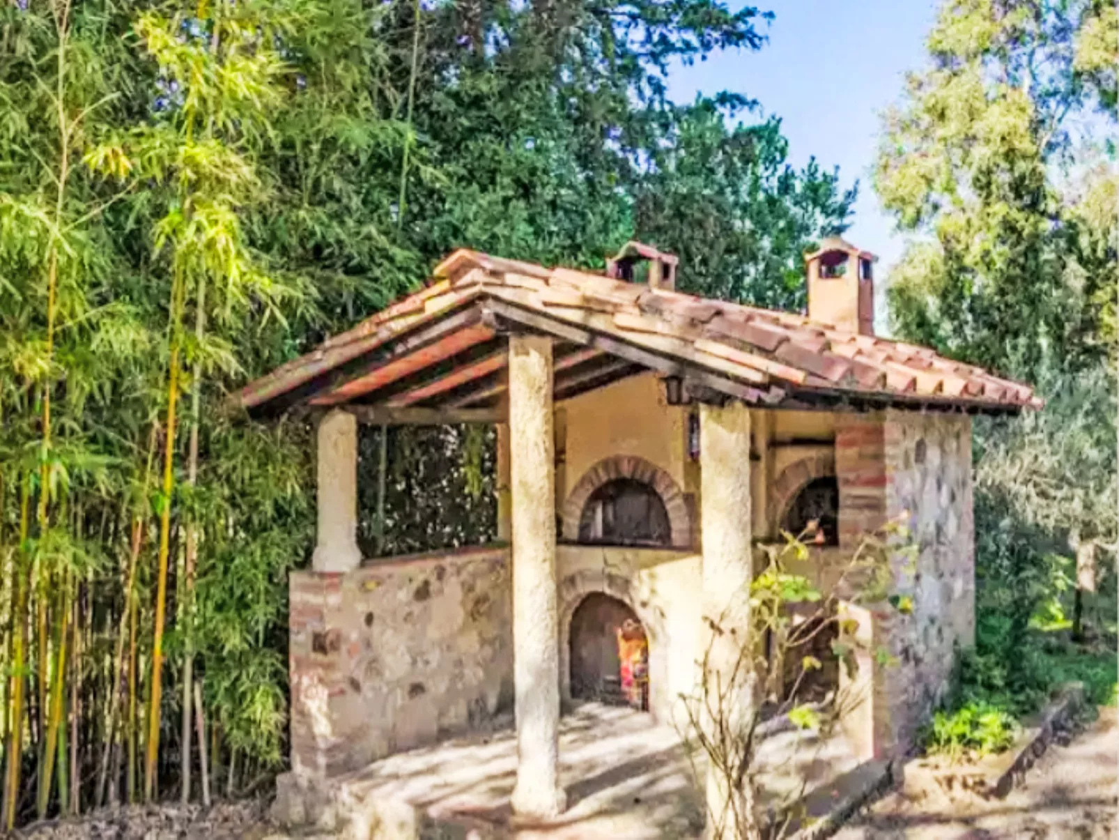 Podere Sant'Antonio - Buiten