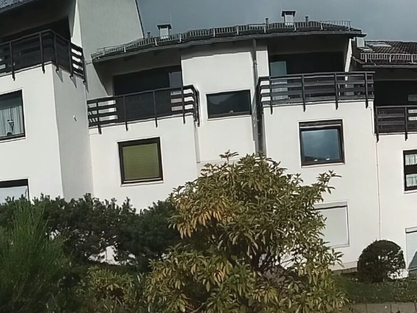 Harzgrün - Image-tags.info