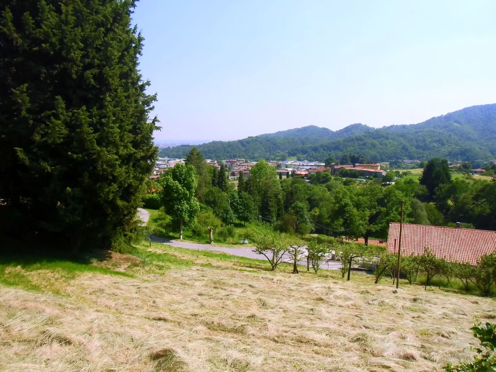 TaiObe - Fröhliches Partyhaus - Image-tags.info