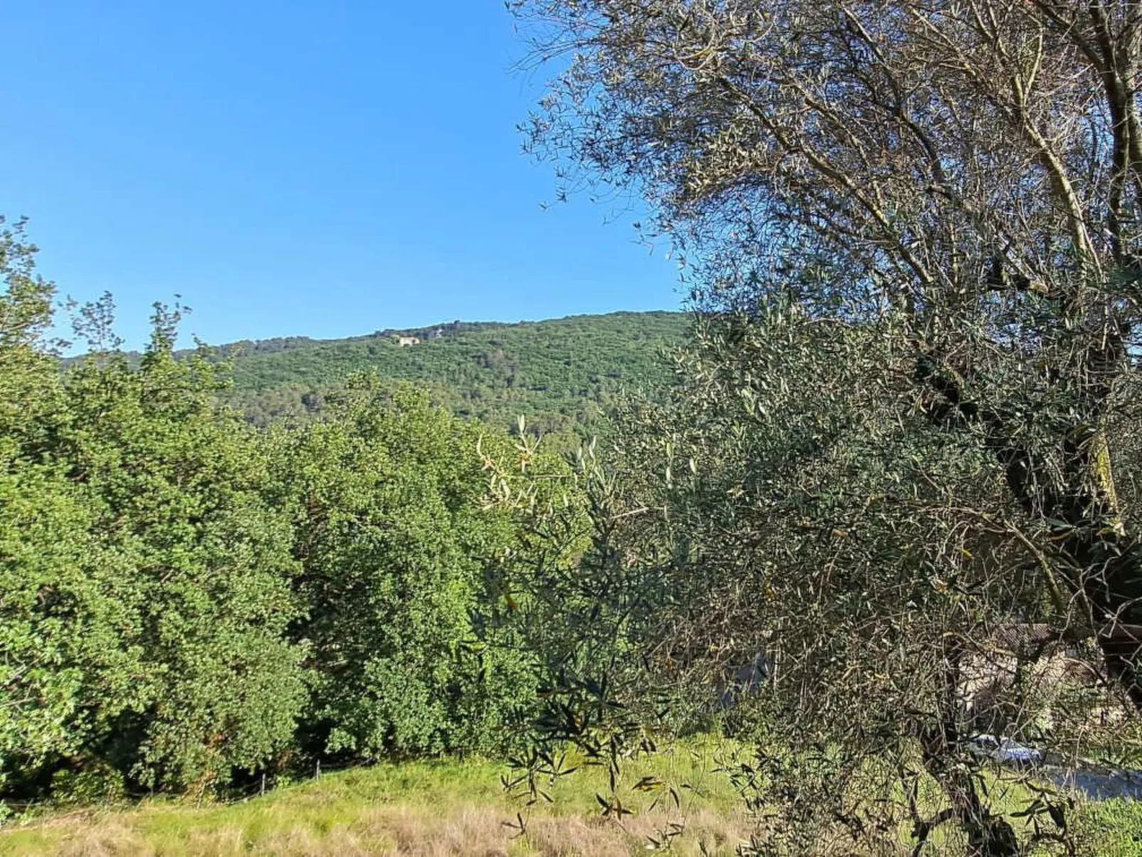 "Maison du Paysan" (Bauernhaus) - Image-tags.info