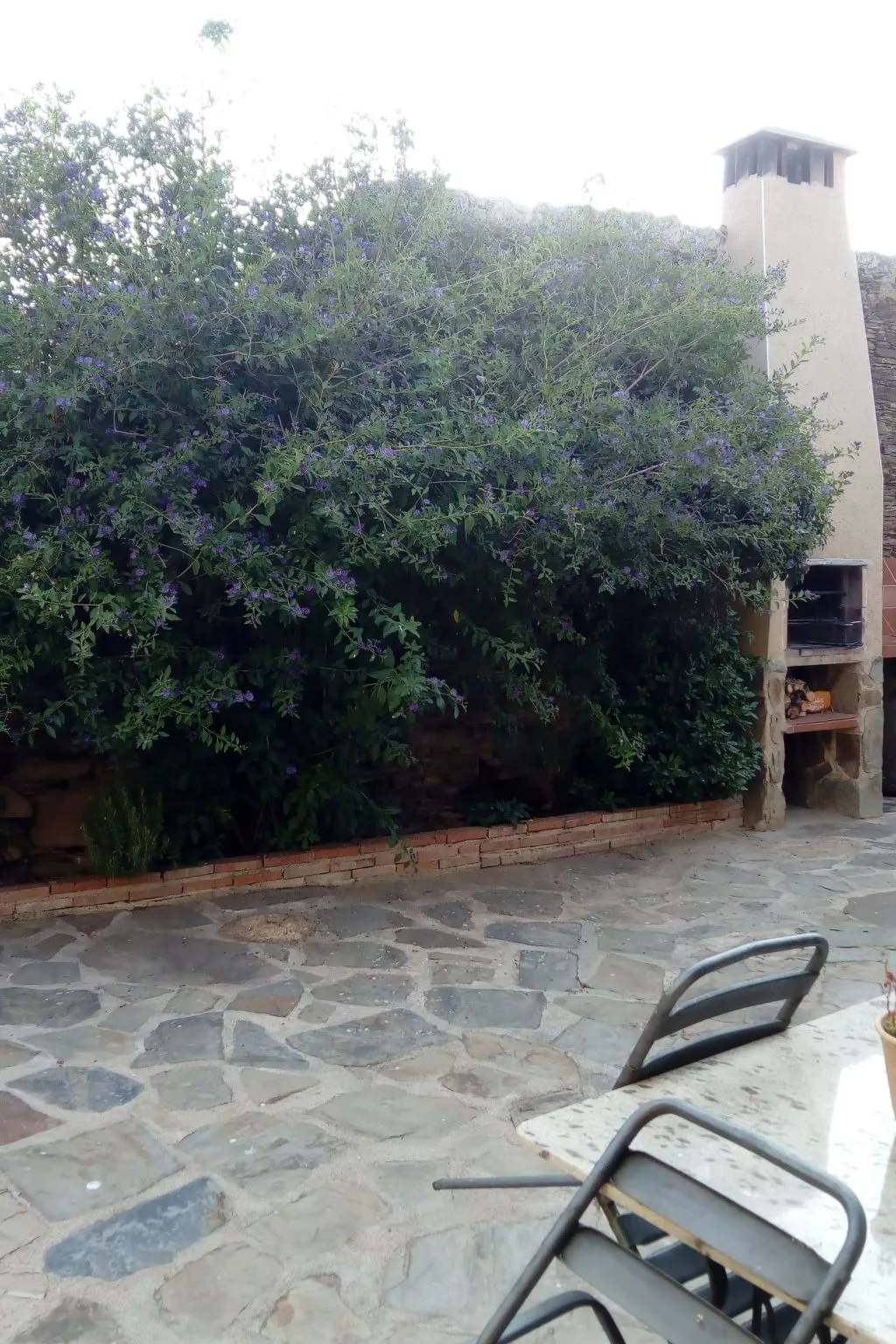 Villa Vieja Landhaus - Buiten