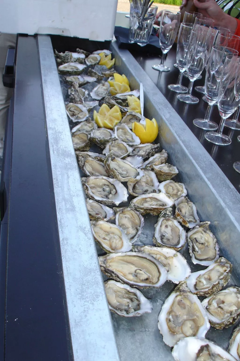 Familienfreundliches Ferienhaus in Zeeland - Image-tags.info