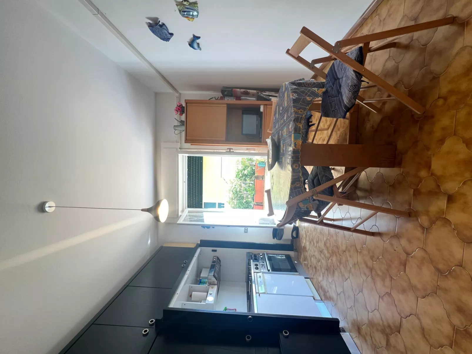 Pitosforo - Image-tags.info