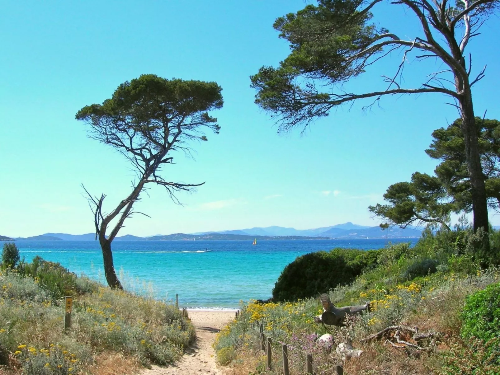 In Strandnähe - Image-tags.info