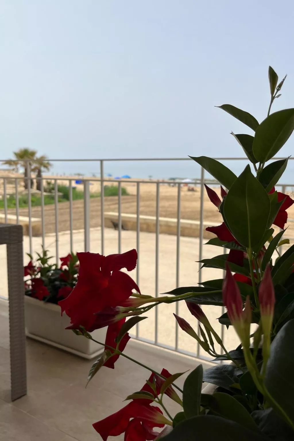 Wohnung am Meer - Image-tags.info