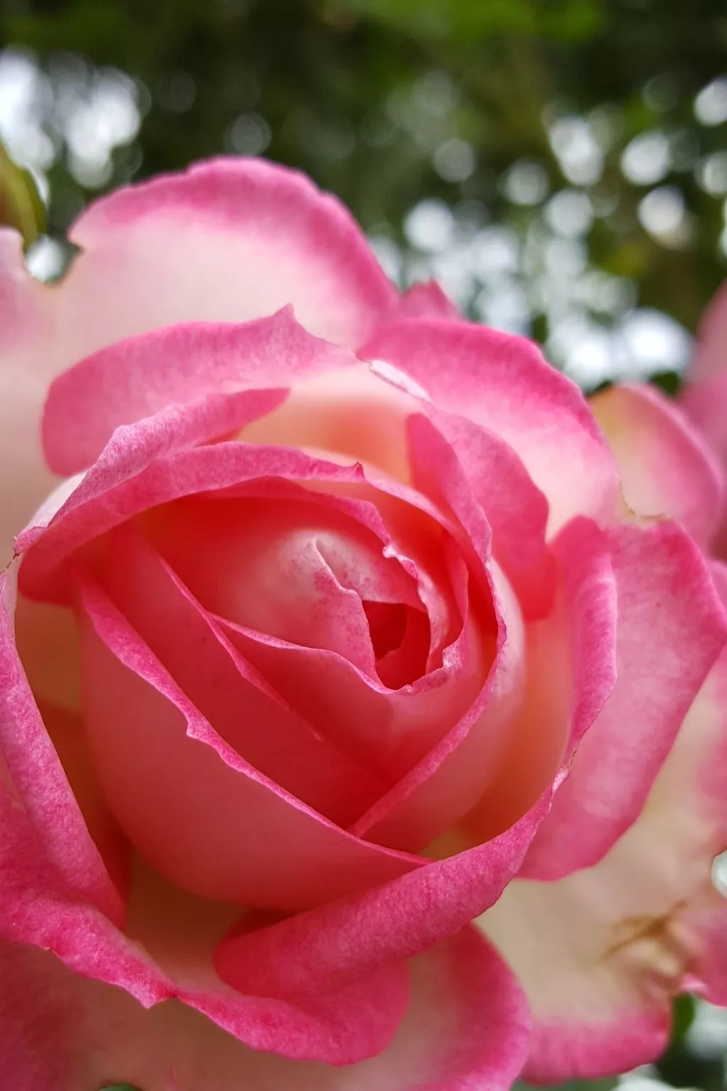 Appartement Apollo in der Wohlfühloase am Trausdorfberg mit Sauna Whirlpoolnutz-Image-tags.info