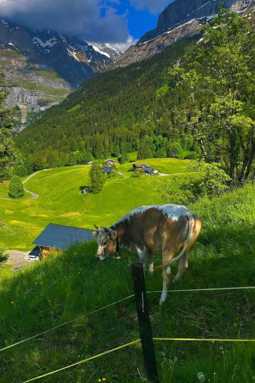 ChaletSwissalp Topof - Image-tags.info