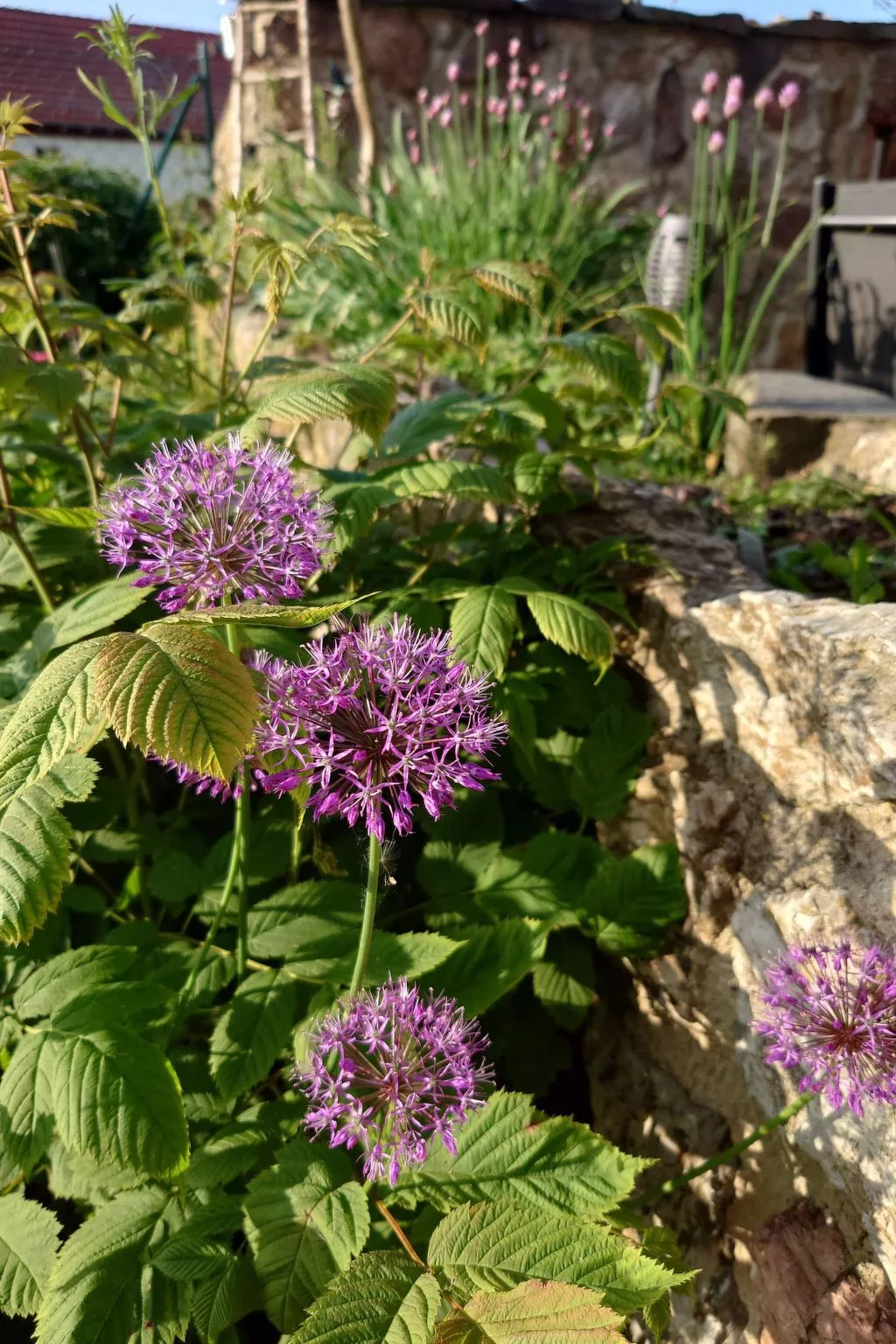 Kerstin - Image-tags.info